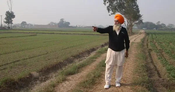 Why Indian farmers can’t escape the trap of monocropping 