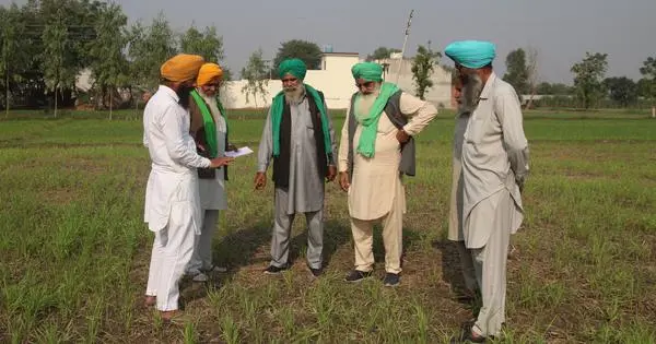The fertiliser addiction of Indian farming is a crisis 