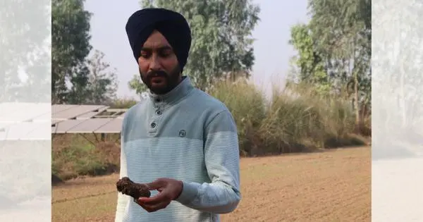 Thirsty crops, tired soil: Vicious loop threatens India’s food and water security